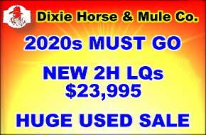 Dixie Horse and Mule Co