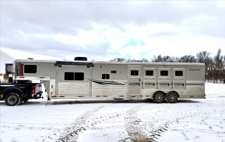 Used Horse Trailer