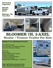 Used Horse Trailer