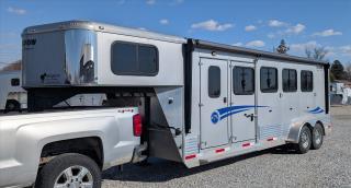 Used Horse Trailer