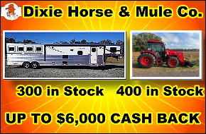 Dixie Horse and Mule Co