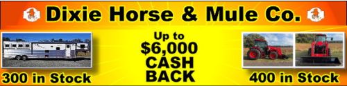 Dixie Horse Mule Company - Horse trailers for sale