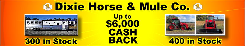 Dixie Horse and Mule Company