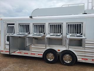 Used Horse Trailer