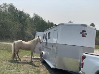 Used Horse Trailer