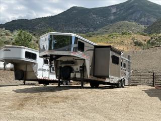 Used Horse Trailer