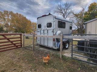 Used Horse Trailer