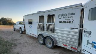 Used Horse Trailer