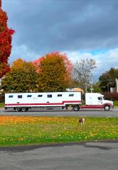 Used Horse Van