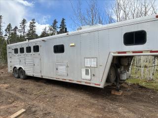 Used Horse Trailer