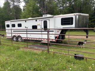Used Horse Trailer