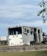 Used Horse Trailer