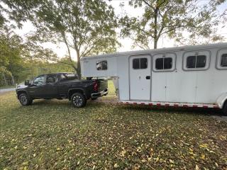 Used Horse Trailer
