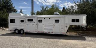 Used Horse Trailer
