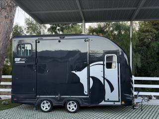 Used Horse Trailer