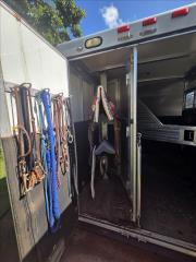 Used Horse Trailer