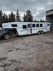 Used Horse Trailer