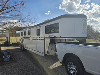 Used Horse Trailer