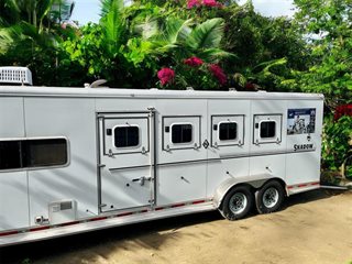Used Horse Trailer