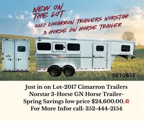 Used Horse Trailer