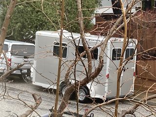 Used Horse Trailer