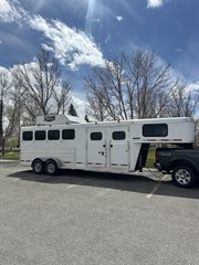 Used Horse Trailer