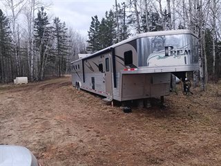 Used Horse Trailer