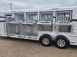 Used Horse Trailer