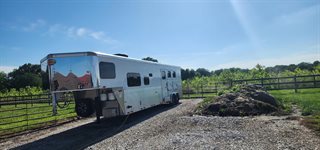 Used Horse Trailer