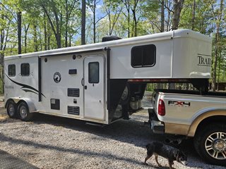 Used Horse Trailer