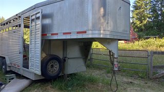 Used Horse Trailer