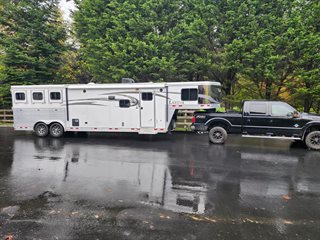 Used Horse Trailer