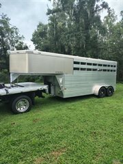 Used Horse Trailer