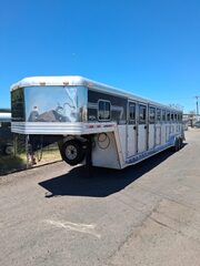 Used Horse Trailer