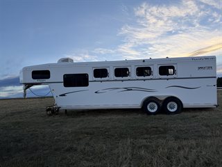 Used Horse Trailer