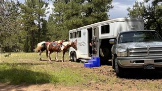Used Horse Trailer